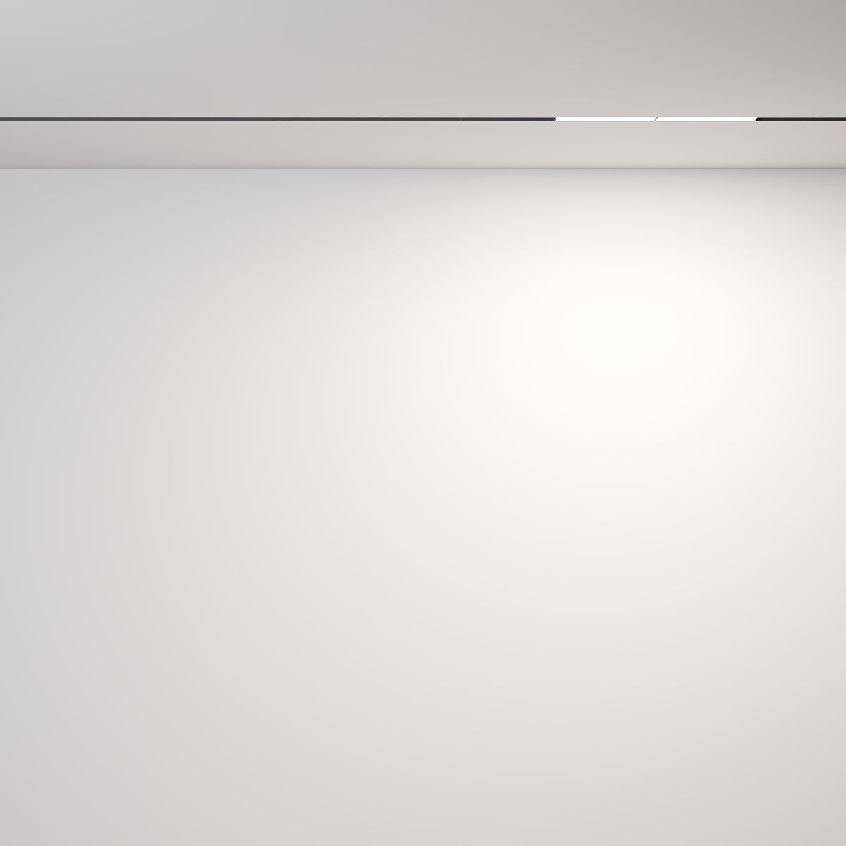 Трековый магнитный светильник Maytoni Parete TR106-4-12W-DS-B