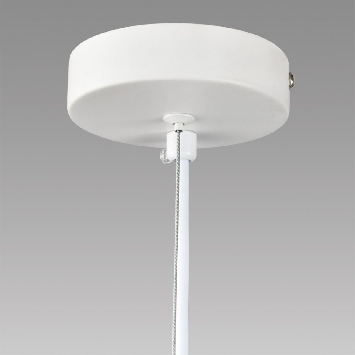 Подвесной светильник Lumion Comfi Torina 8265/5
