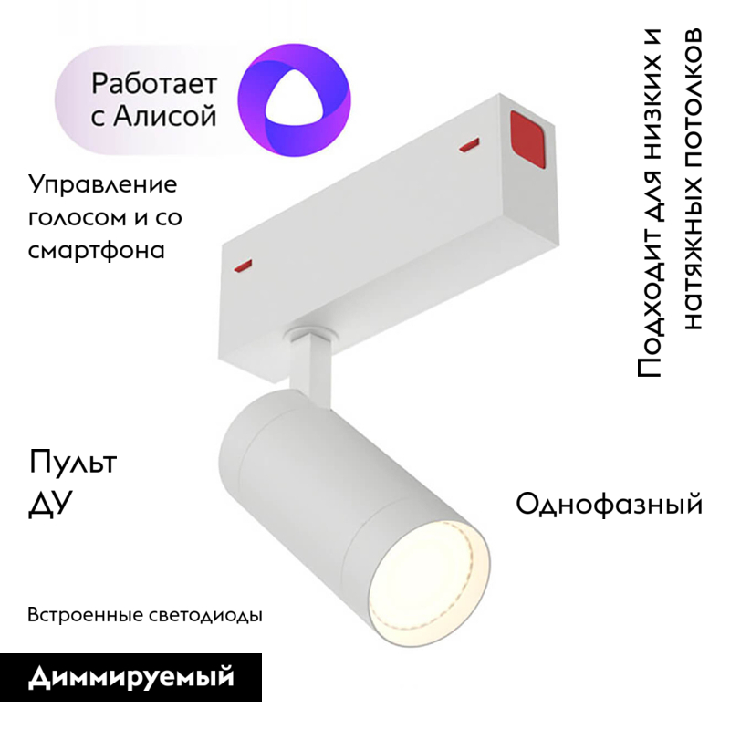 Трековый светильник Denkirs DK8010-WH