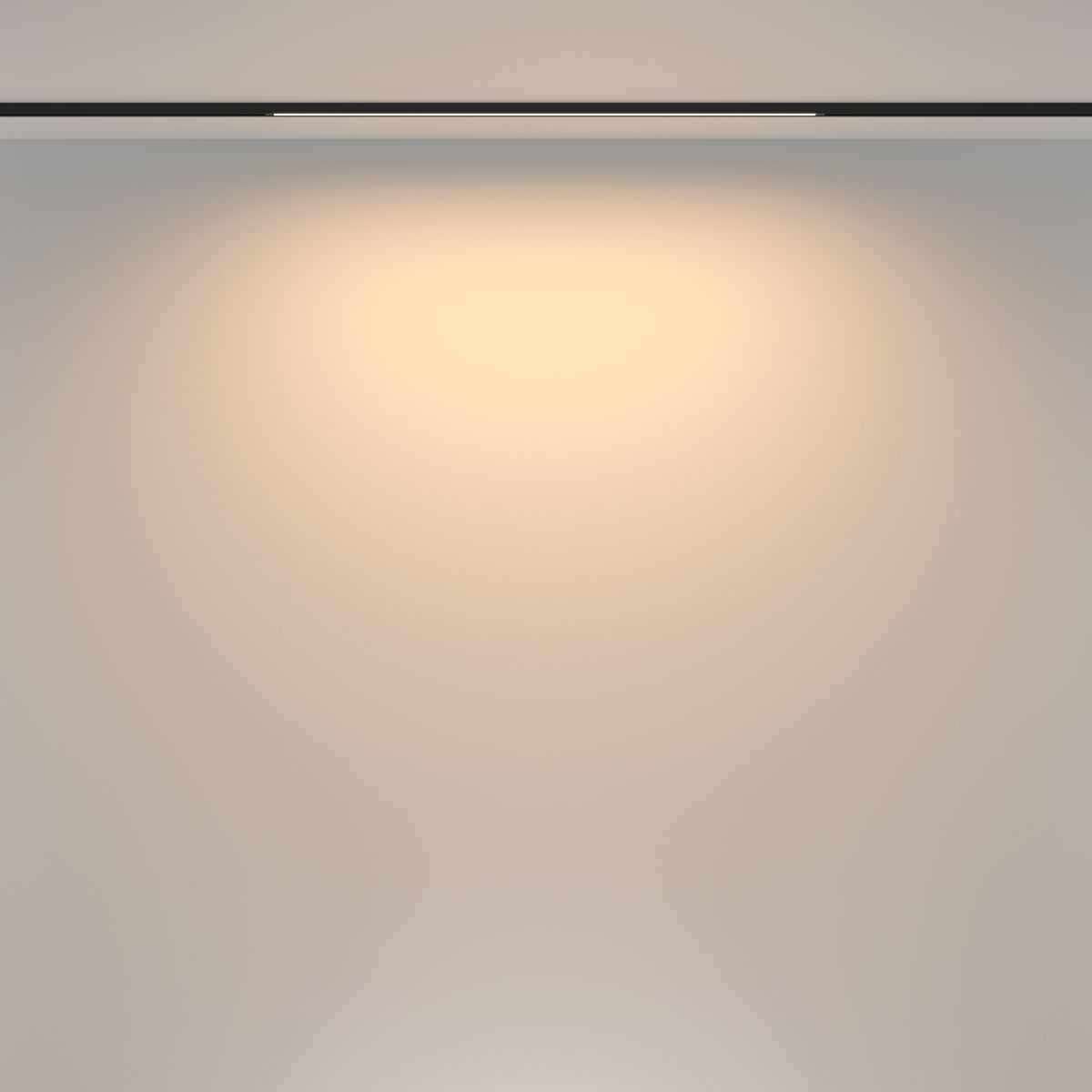 Трековый магнитный светильник Maytoni Basis TR173-1-16WTW-B