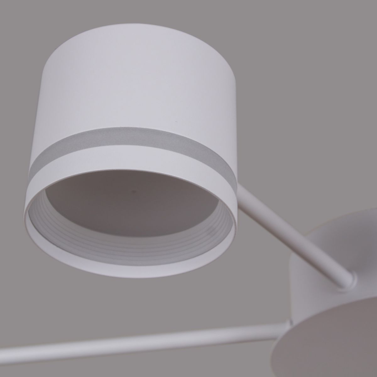 Потолочная люстра Reluce 06730-0.3-10 GX53 WT