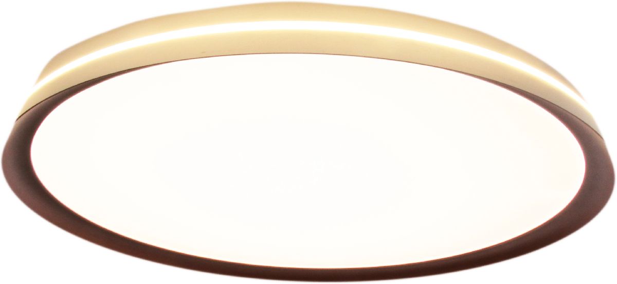 Потолочный светильник Mizi'en Titan MZ31502-640