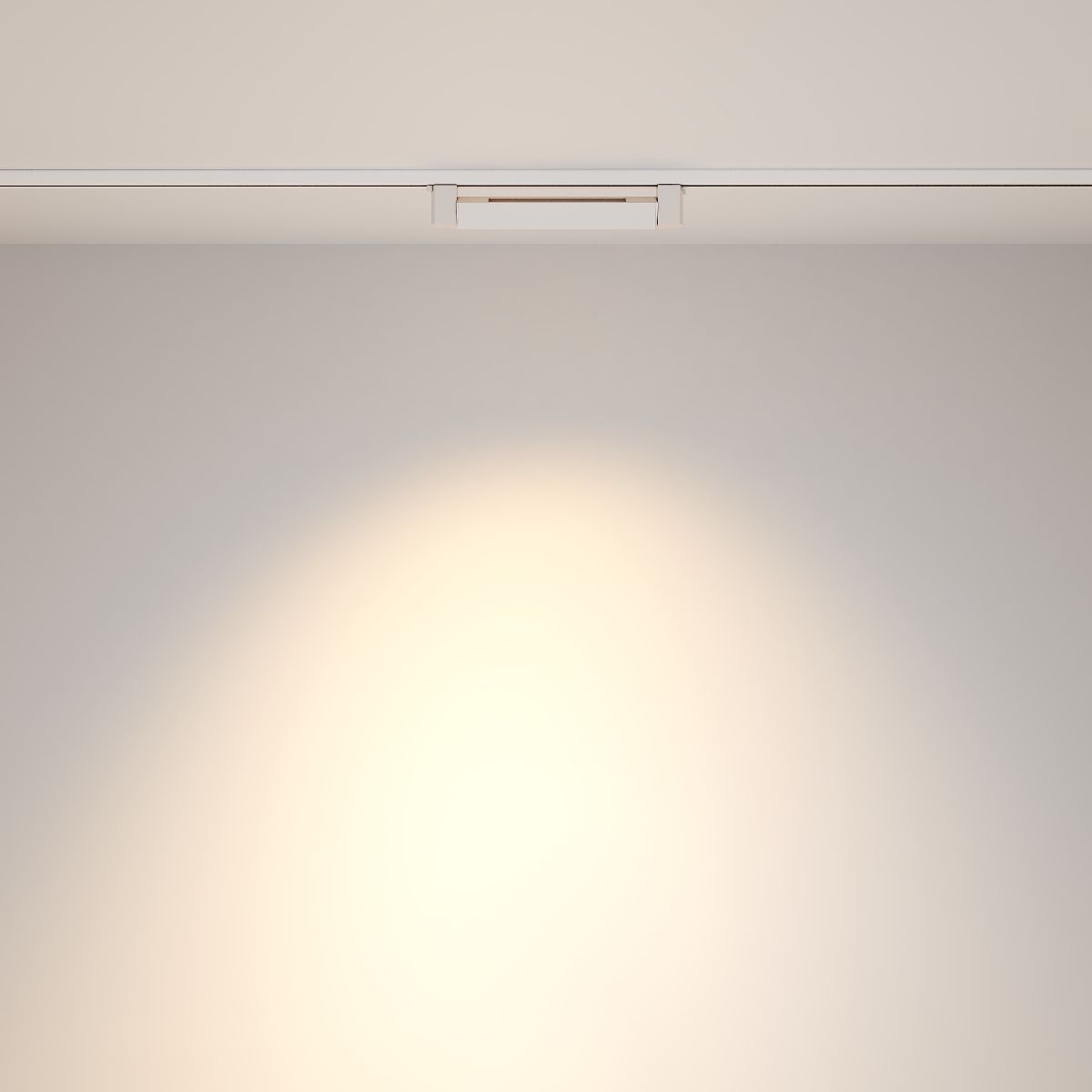 Трековый однофазный светильник Maytoni Points Rot TR010-1-10W4K-M-W