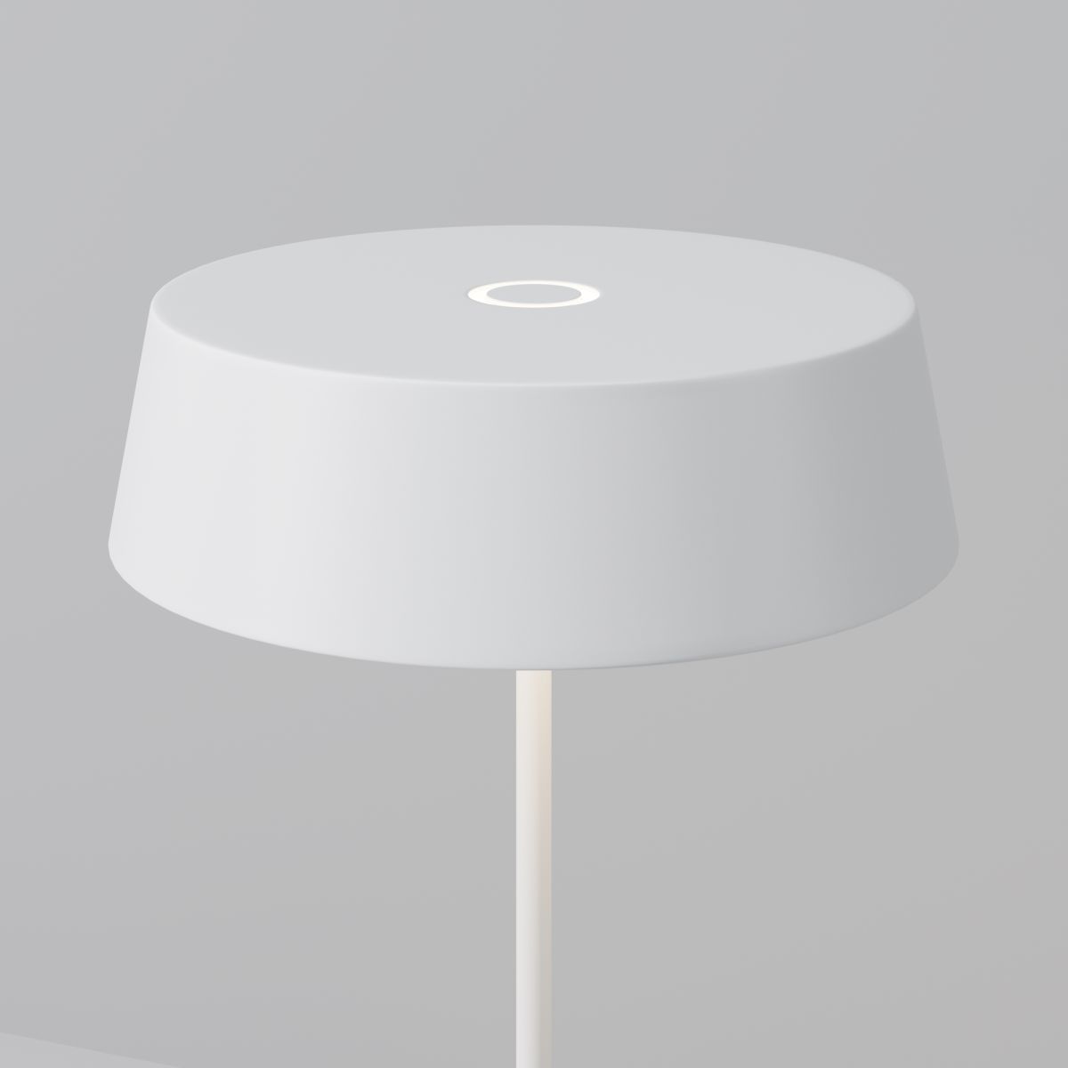 Уличный переносной аккумуляторный светильник Maytoni Porto O540TL-L2WCCT