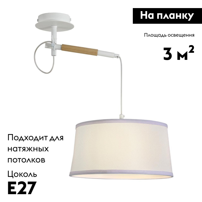 Настенно-потолочный светильник F-Promo Eureka 3005-1P