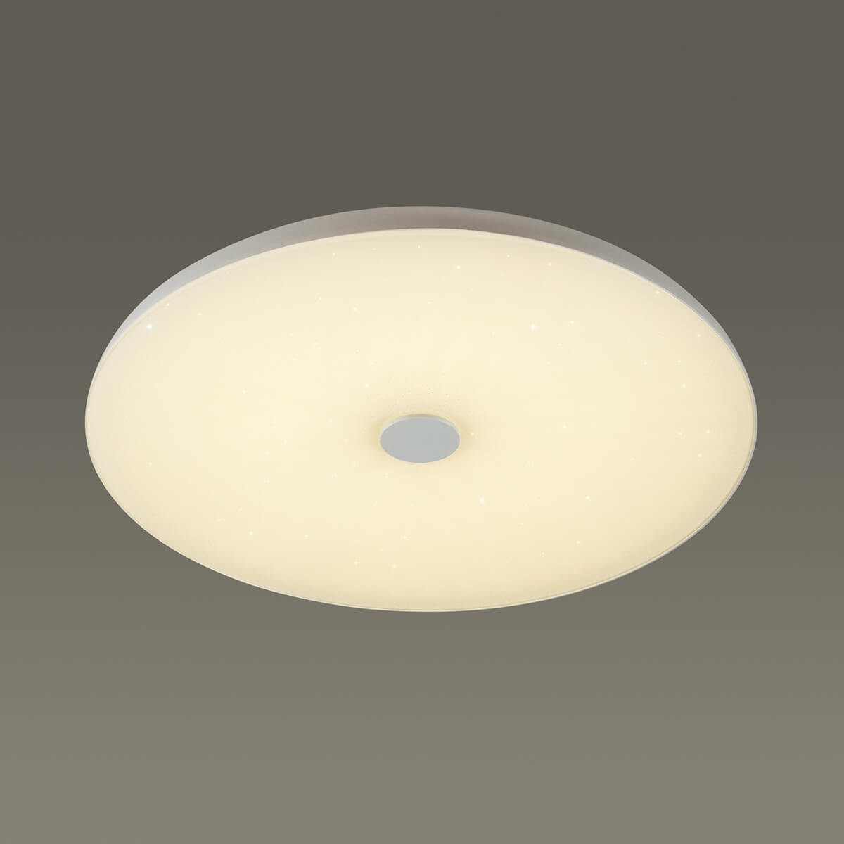 Потолочный светодиодный светильник Sonex Roki Muzcolor 4629/DL