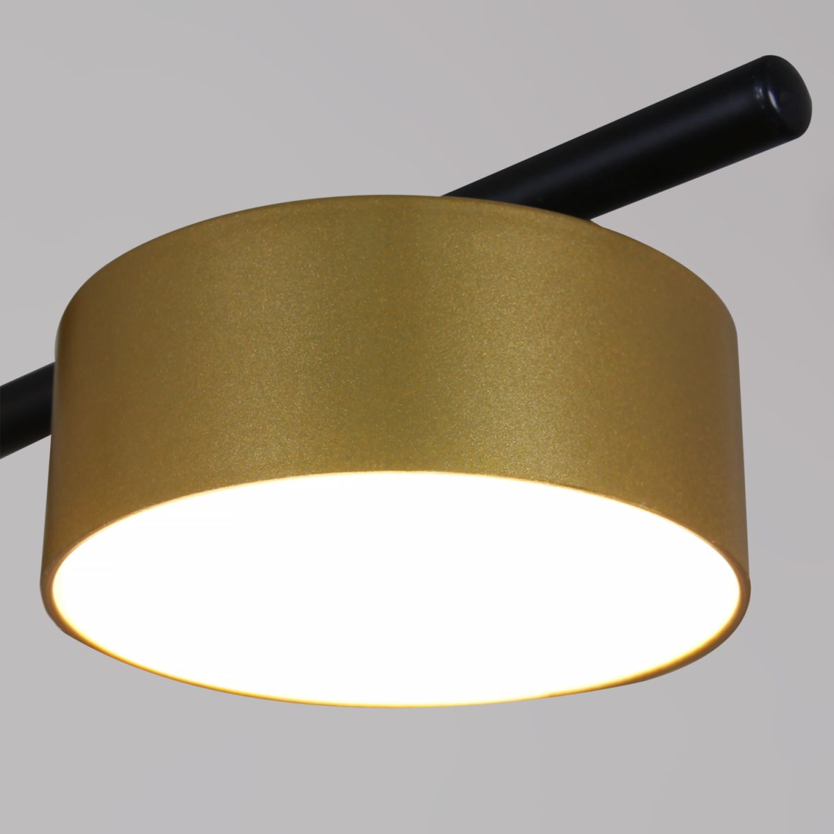 Люстра на штанге Reluce 43106-0.3-08 GX53