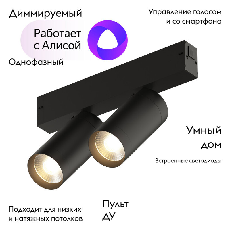 Трековый светильник Denkirs Smart DK8012-BK