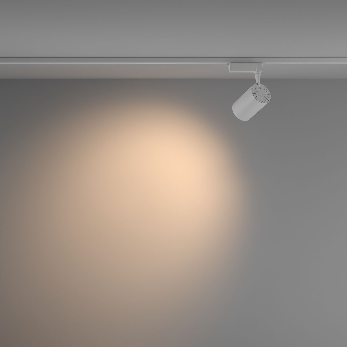 Трековый светильник Maytoni Technical Vuoro TR003-1-26W3K-W-W