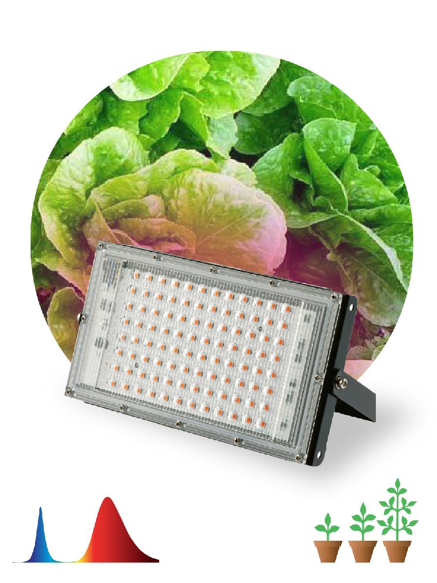 Фитопрожектор для растений Эра FITO-80W-RB-LED-Y Б0053082