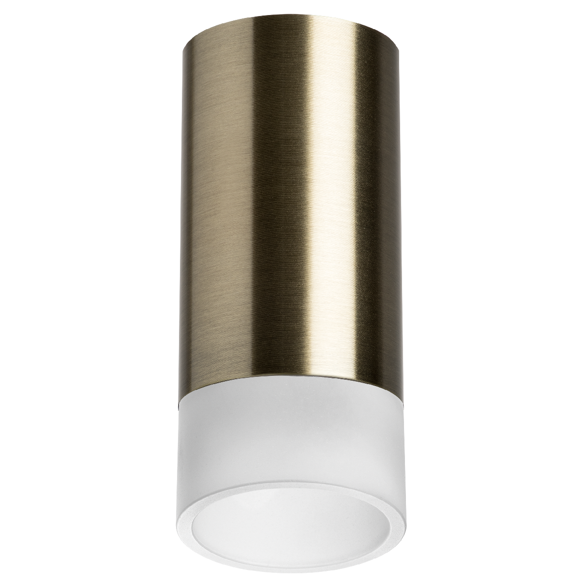 Накладной светильник Lightstar Rullo R43131 (214431+202431)