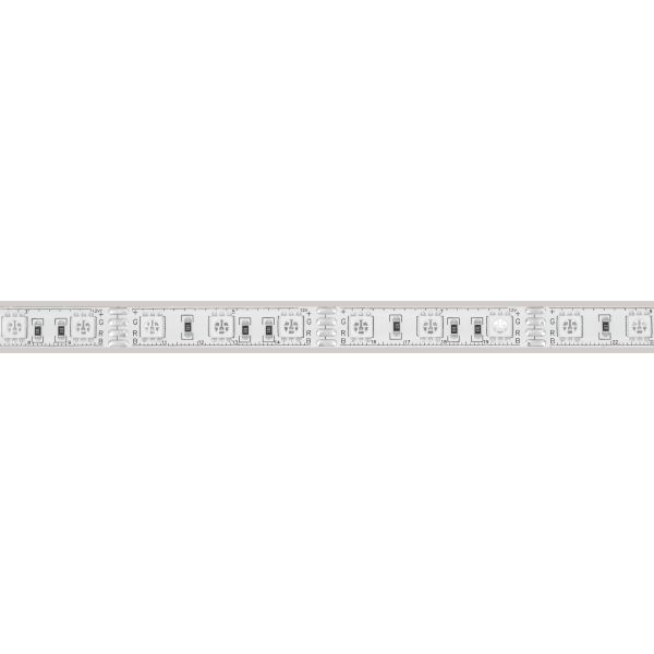 Светодиодная лента герметичная Arlight RTW-PU-B60-12.5mm 12V RGB (14.4 W/m, IP68, 5060, 5m) 029599(2)