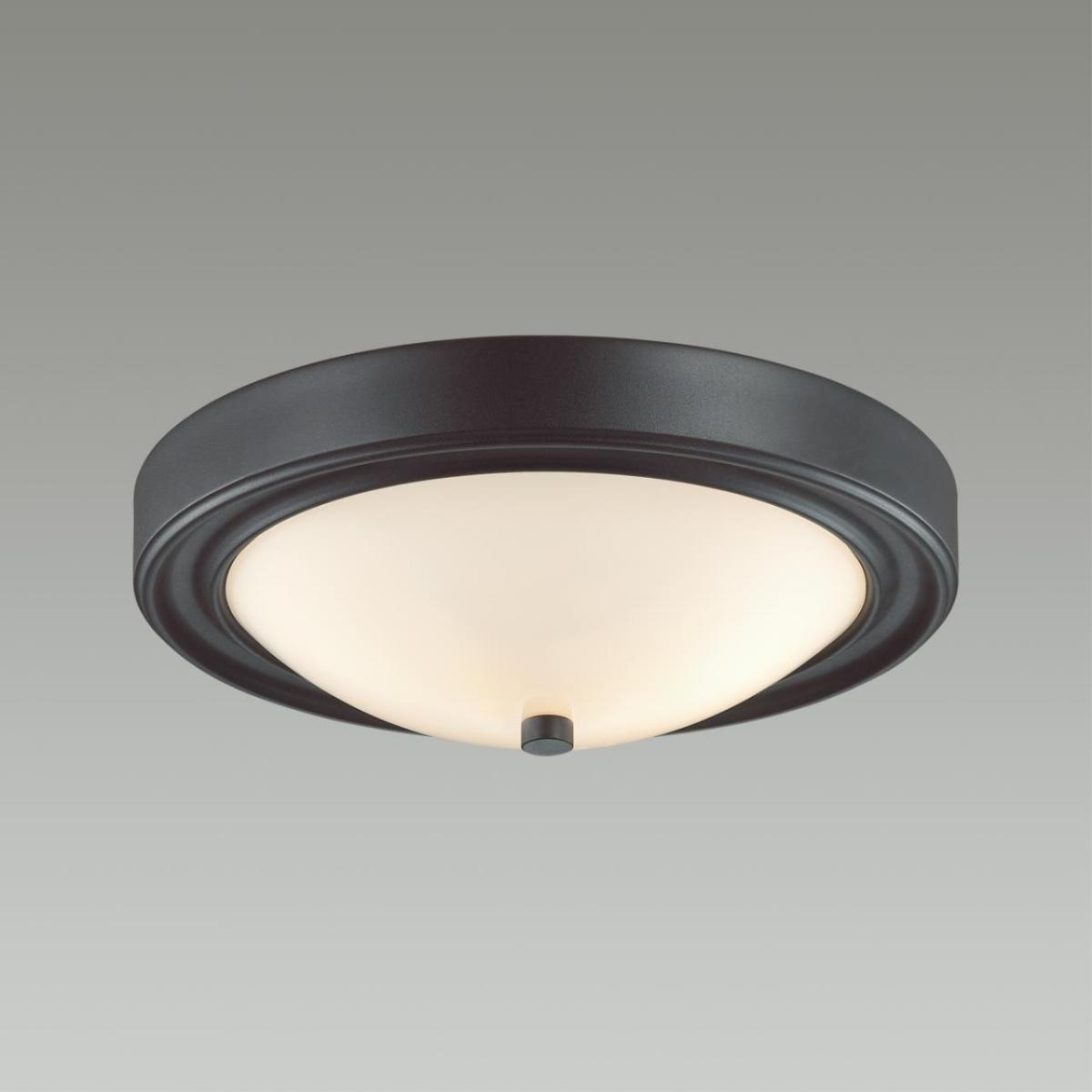 Настенно-потолочный светильник Lumion Vintage 5260/2C