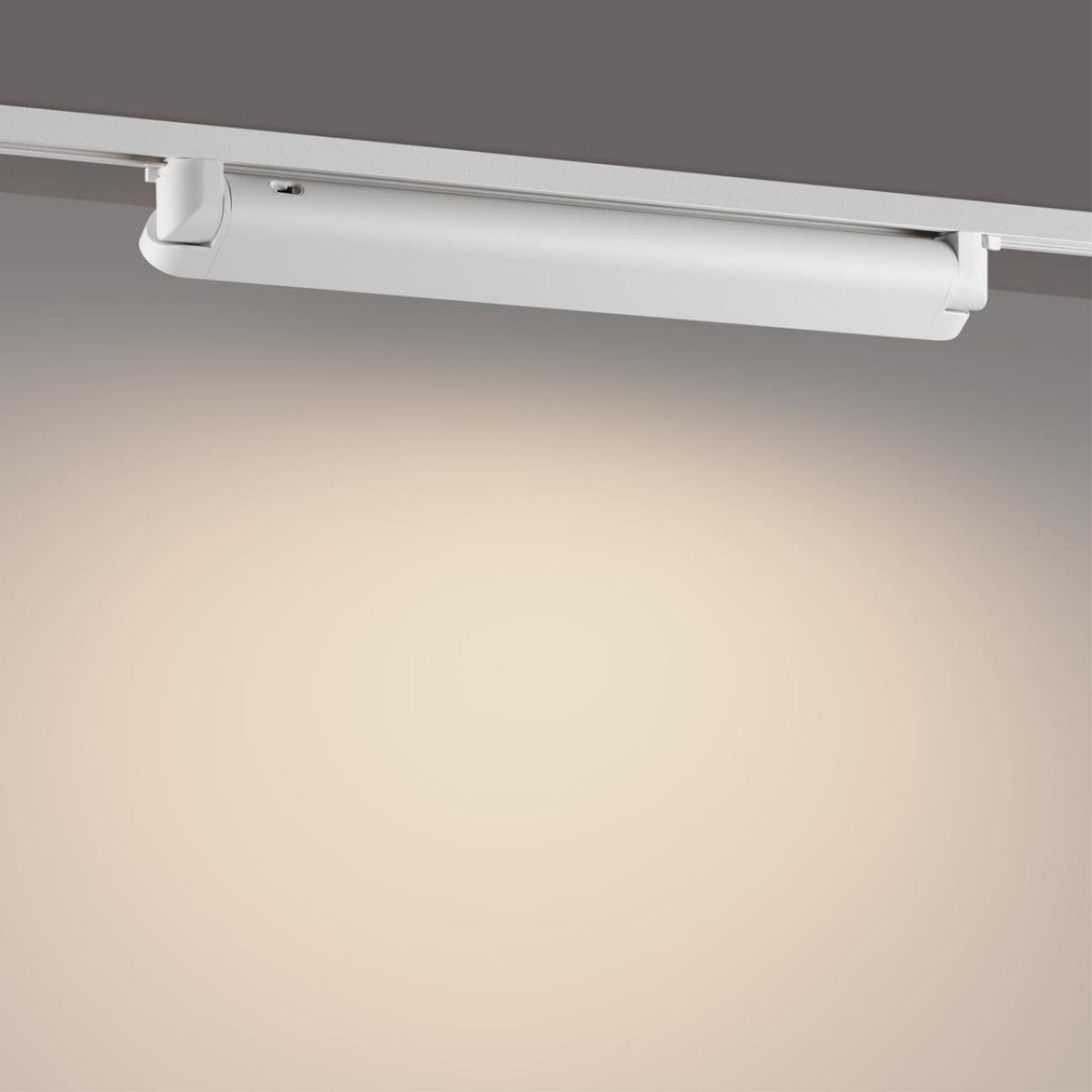 Трековый однофазный двухжильный светильник с переключателем цветовой температуры Novotech Port Iter 359794