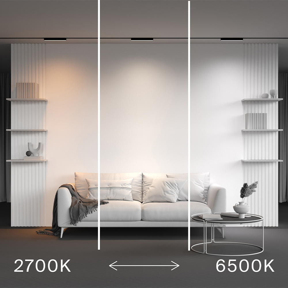 Трековый магнитный светильник Maytoni Technical Basis Radity TR080-4-10WTW-B
