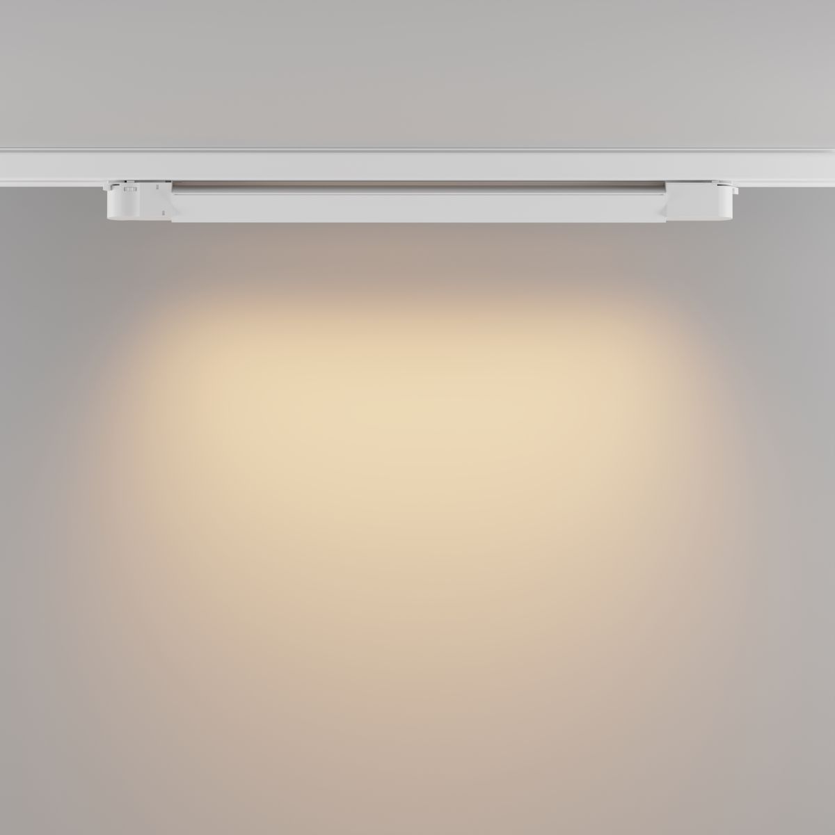 Трековый трехфазный светильник Maytoni Technical Basis TR196-3-20W2.7K-W(N)