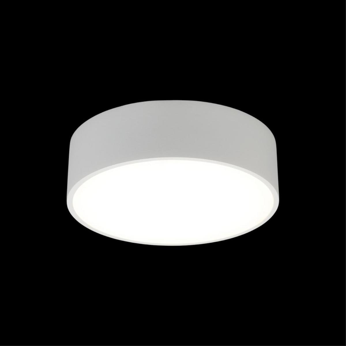 Потолочный светильник Aployt Evon APL.0114.09.12