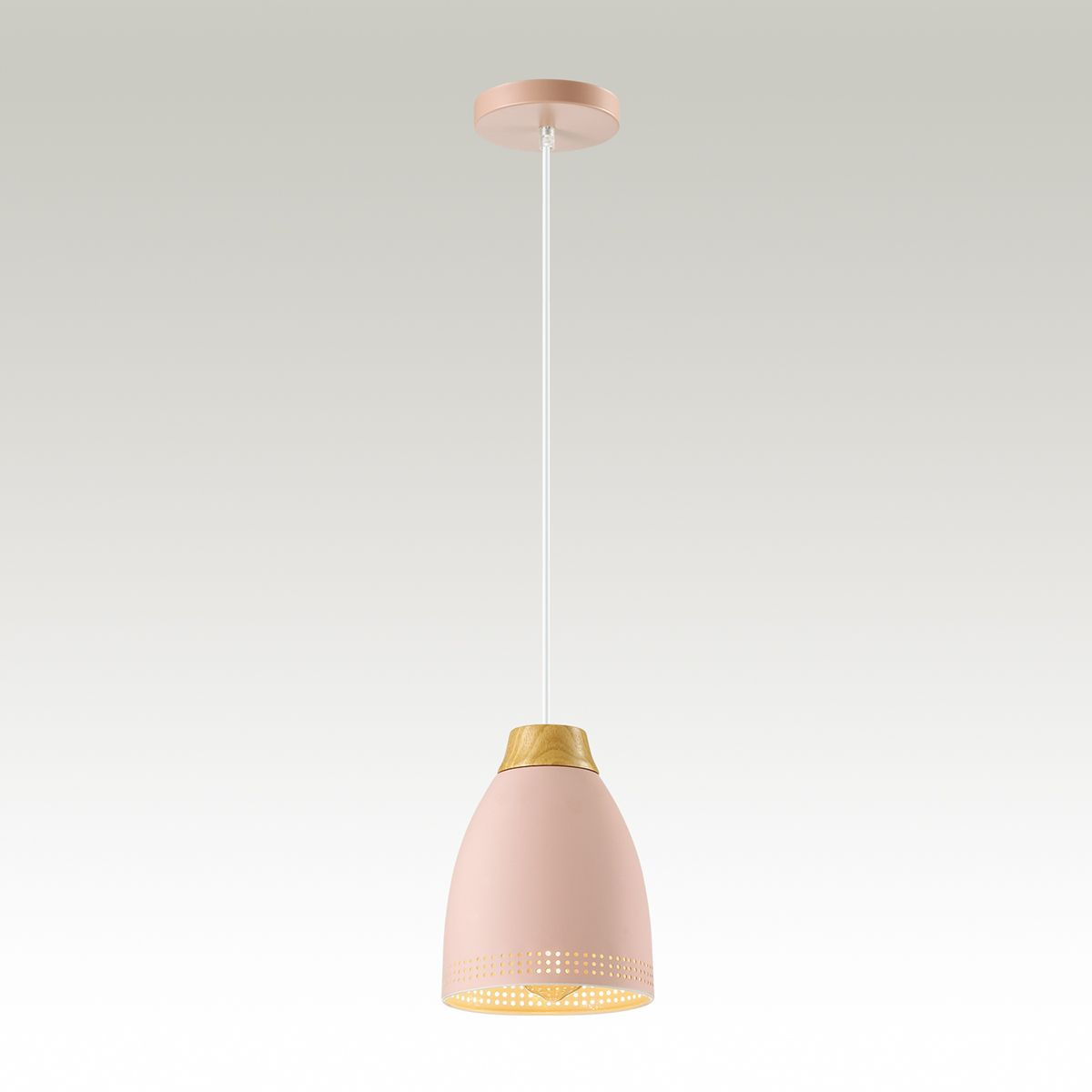 Подвесной светильник Lumion Anna 3796/1