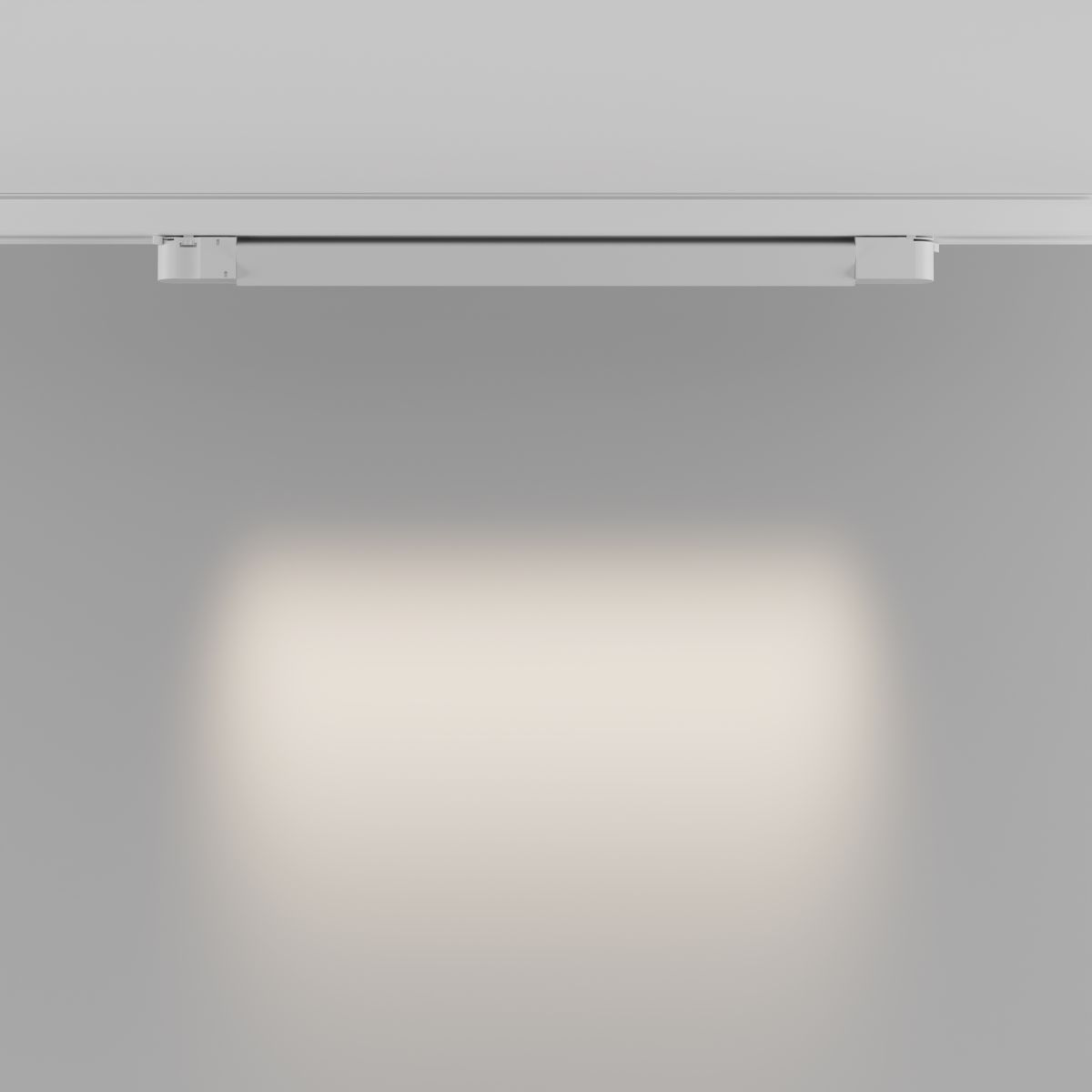 Трековый трехфазный светильник Maytoni Technical Points TR195-3-20W4K-M-W(N)
