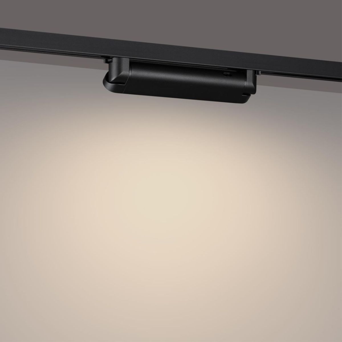 Трековый однофазный трехжильный светильник с переключателем цветовой температуры Novotech Port Iter 359795