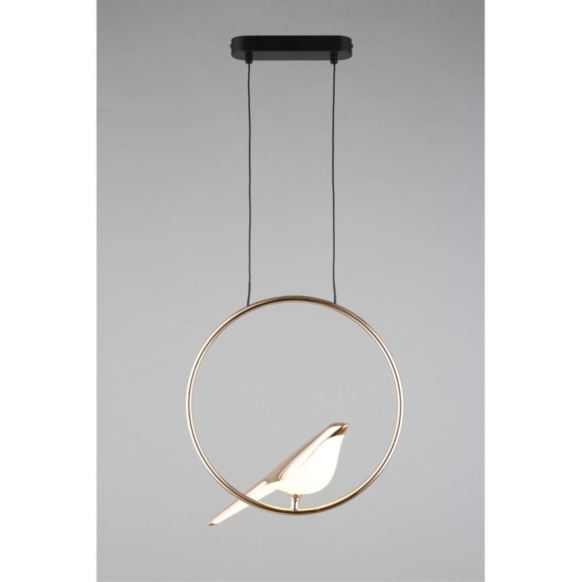 Подвесной светодиодный светильник Aployt Astor APL.822.06.10