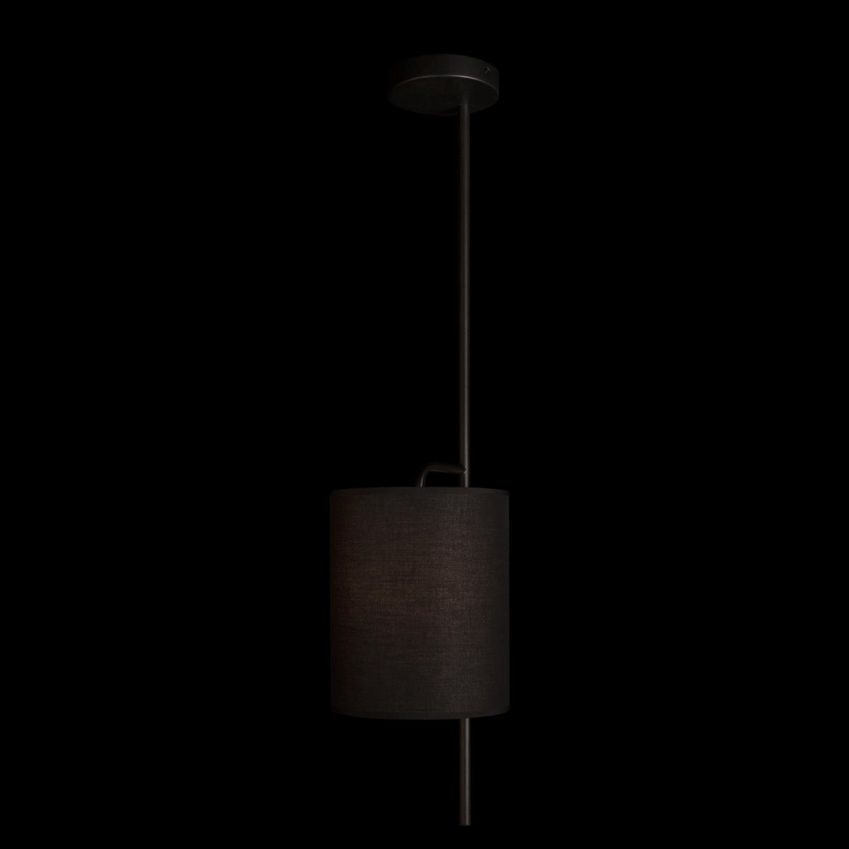 Потолочный светильник Loft IT Ritz 10253P Black