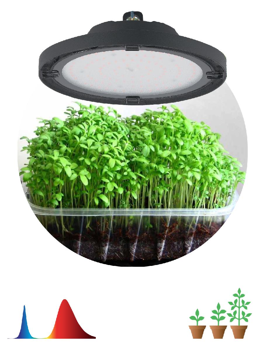 Фитопрожектор для растений Эра FITO-50W-RB-LED-UFO Б0053280