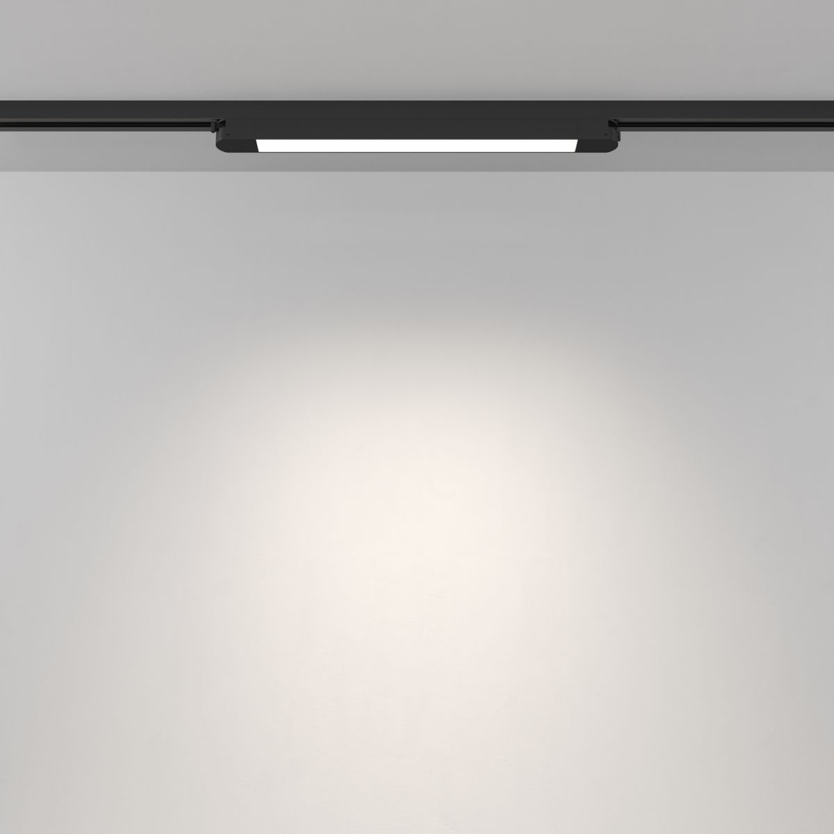 Трековый однофазный светильник Maytoni Technical Basis TR000-1-12W4K-B_1