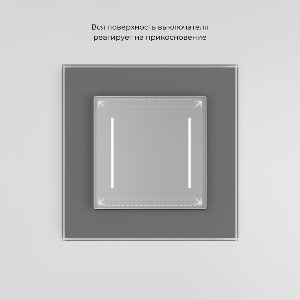 Сенсорный выключатель двухклавишный с подсветкой Werkel 4690389198038 W4522006 a063600