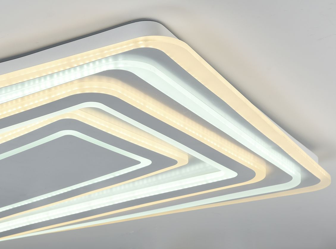 Потолочный светодиодный светильник F-Promo Ledolution 2276-10C