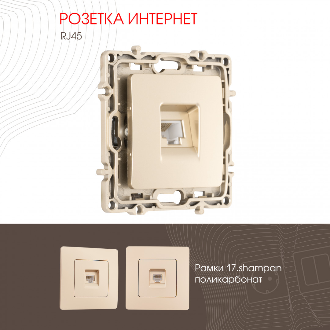 Розетка RJ45 Arte Milano 217.45-1.shampan