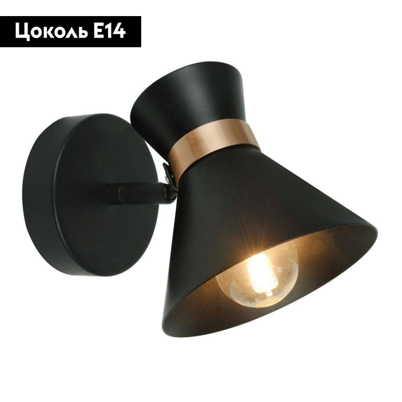 Спот Arte Lamp Baltimore A1406AP-1BK