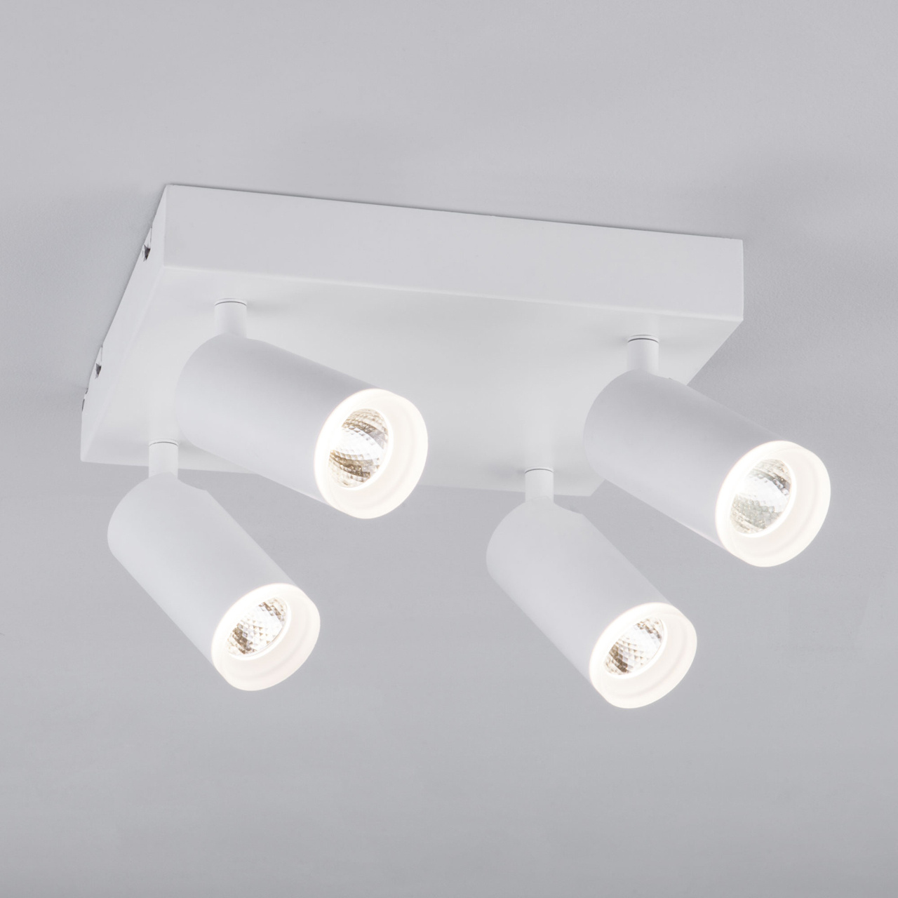 Потолочный светодиодный светильник Eurosvet Holly 20067/4 LED белый в #REGION_NAME_DECLINE_PP#