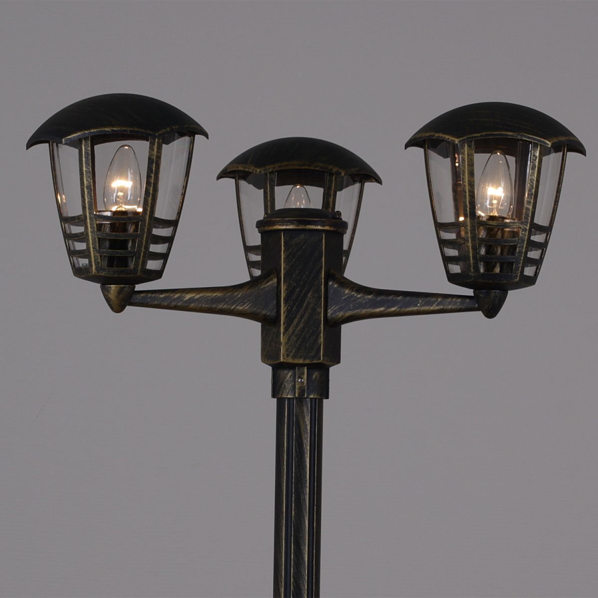 Парковый светильник Reluce 08303-0.7-001SJ 2.0m BKG