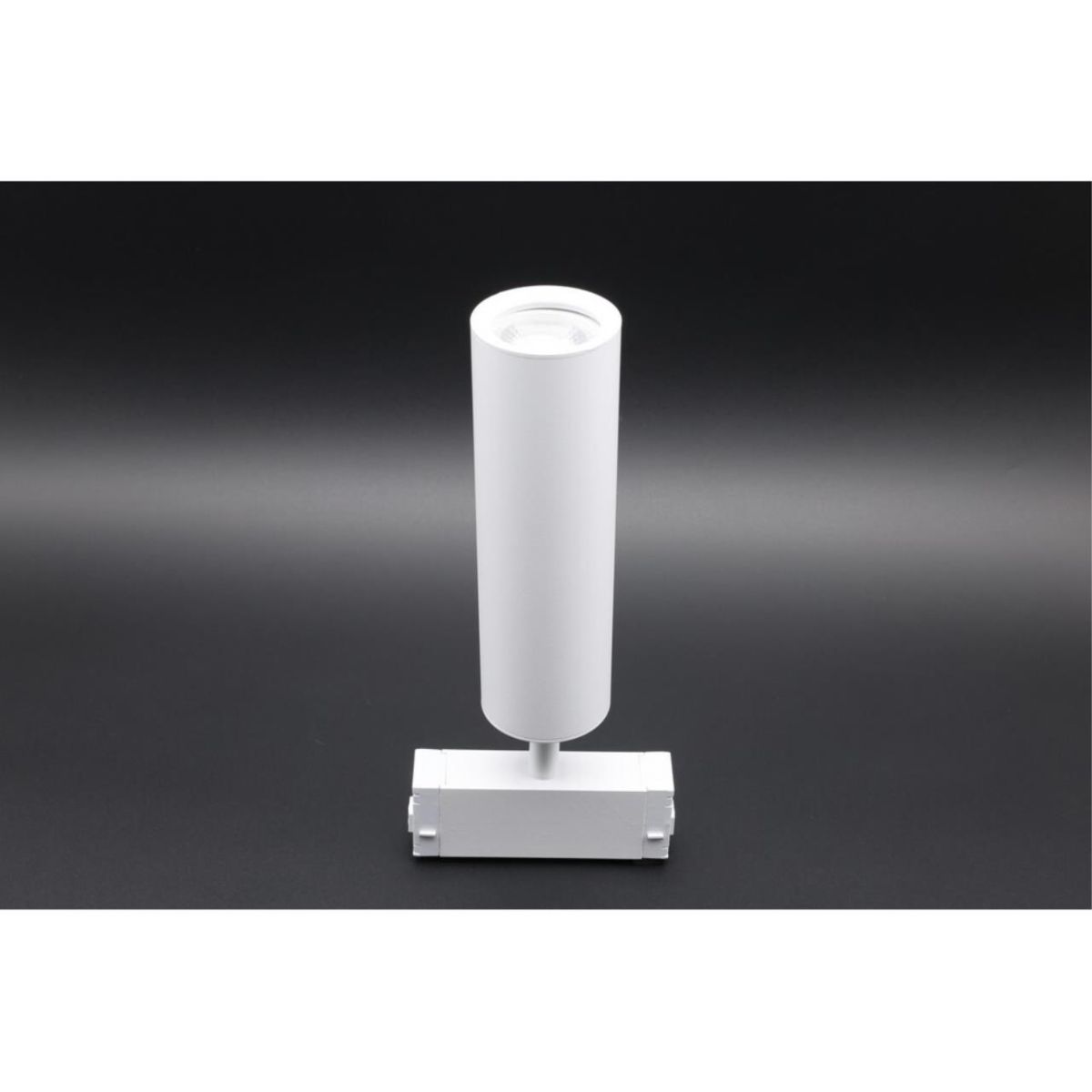 Трековый магнитный светильник Aployt Magnetic track 220 APL.0210.11.01