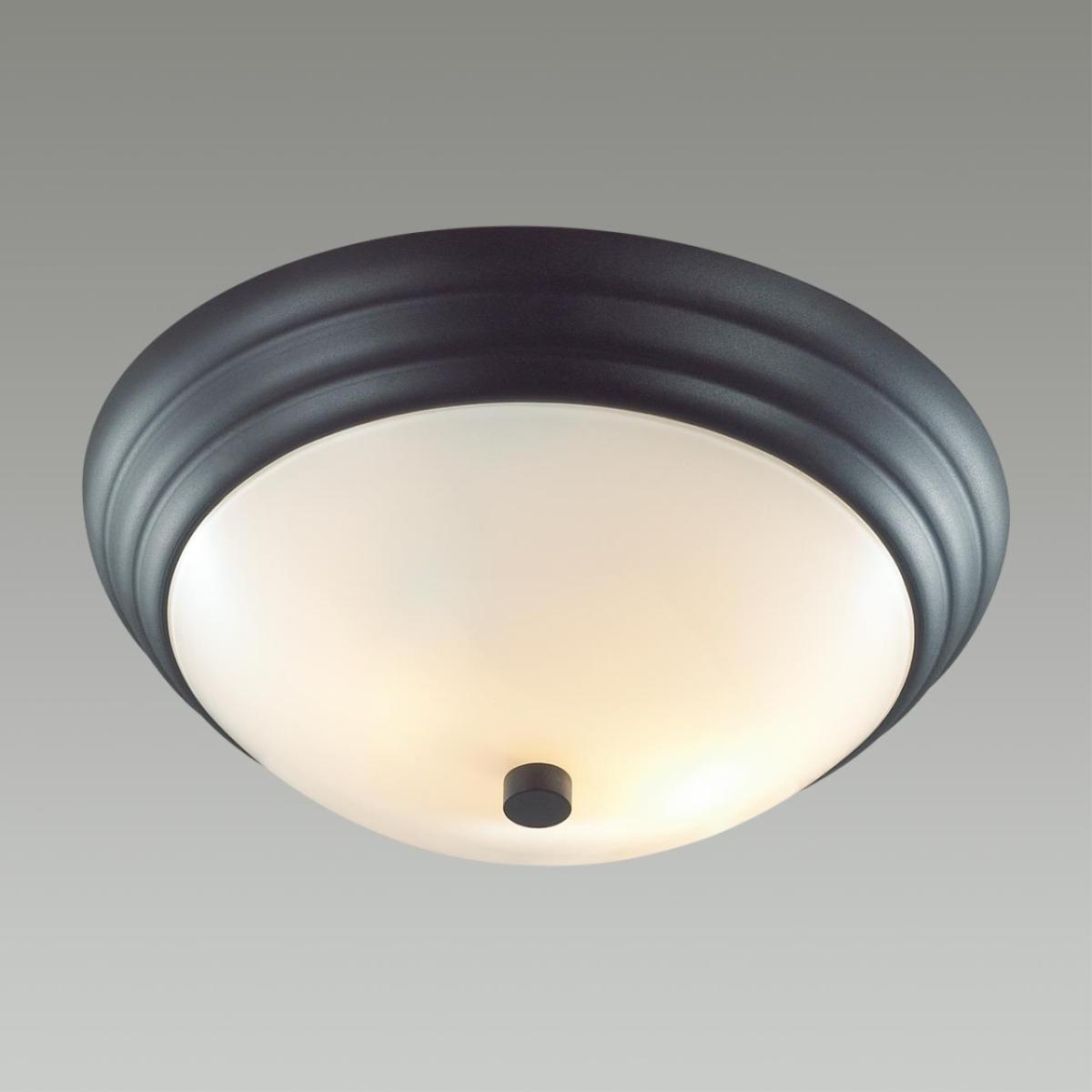 Настенно-потолочный светильник Lumion Vintage 5263/2C