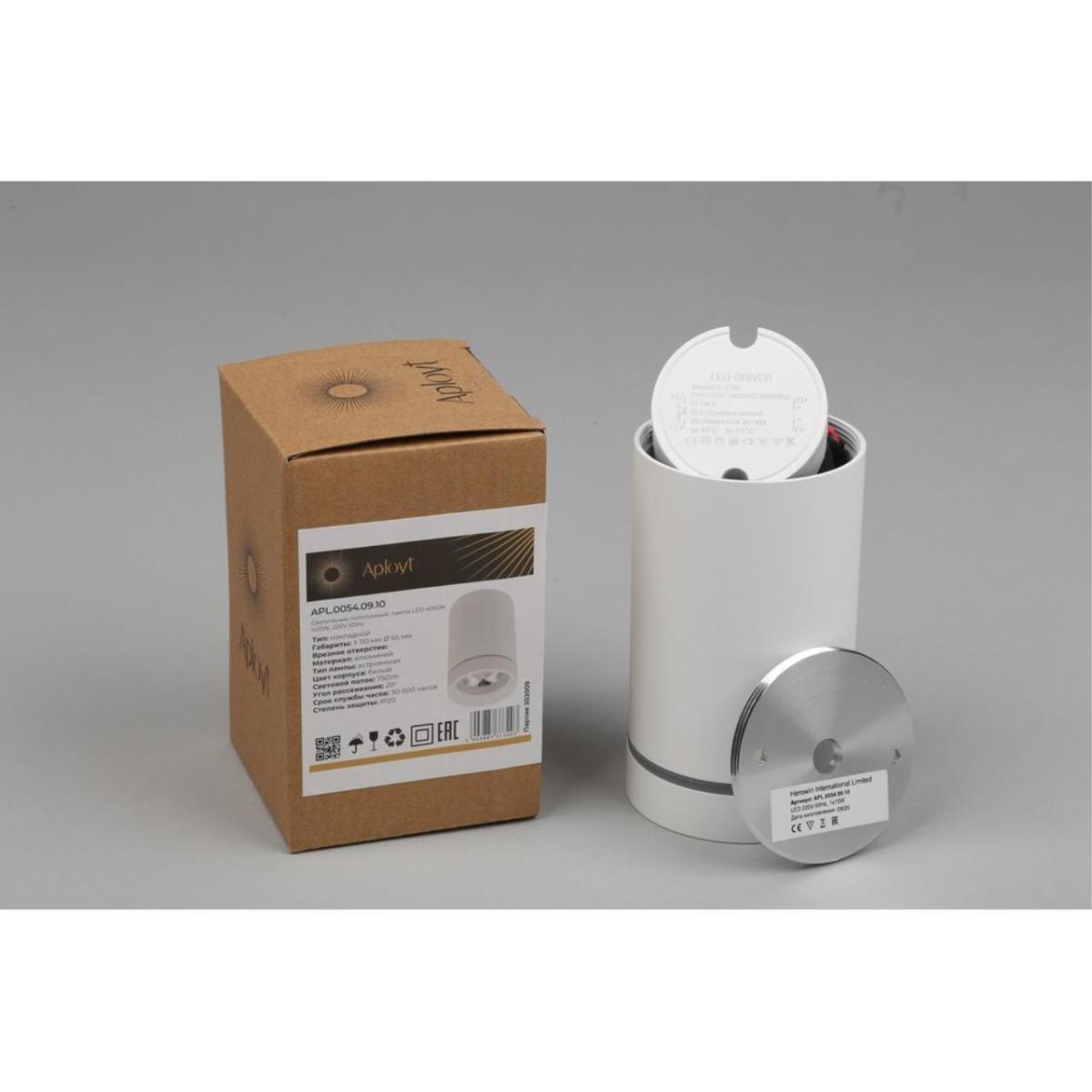 Потолочный светильник Aployt Edda APL.0054.09.10