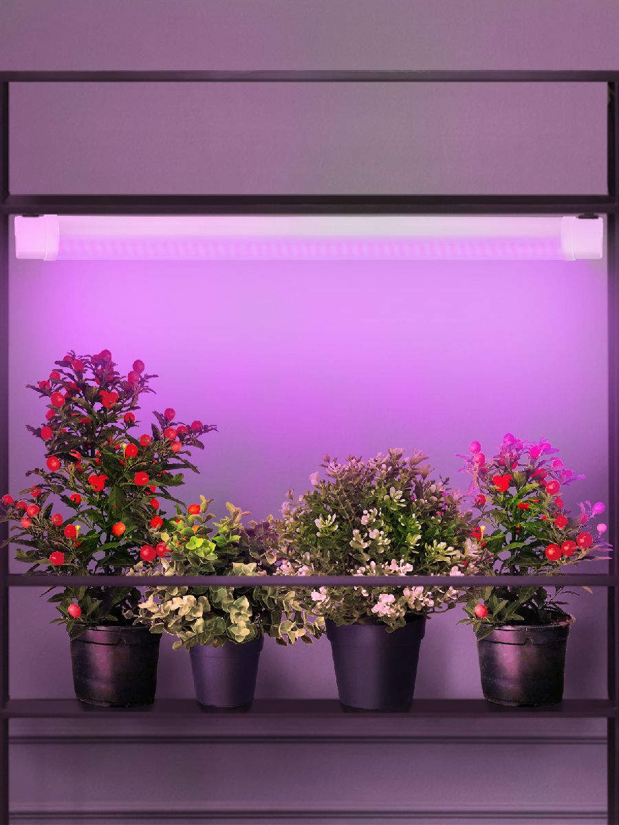 Светильник для растений Эра FITO-24W-RB-N Б0061425