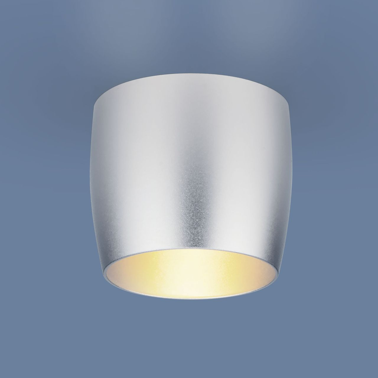 Встраиваемый светильник Elektrostandard 6074 MR16 SL серебро 4690389135903 в #REGION_NAME_DECLINE_PP#