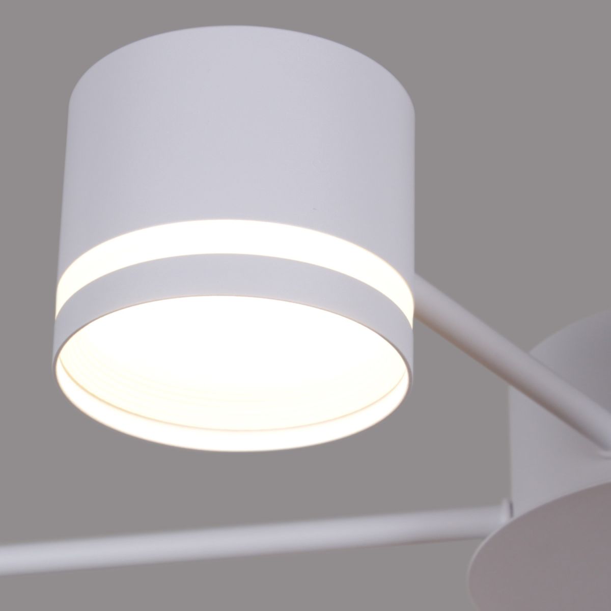 Потолочная люстра Reluce 06730-0.3-10 GX53 WT