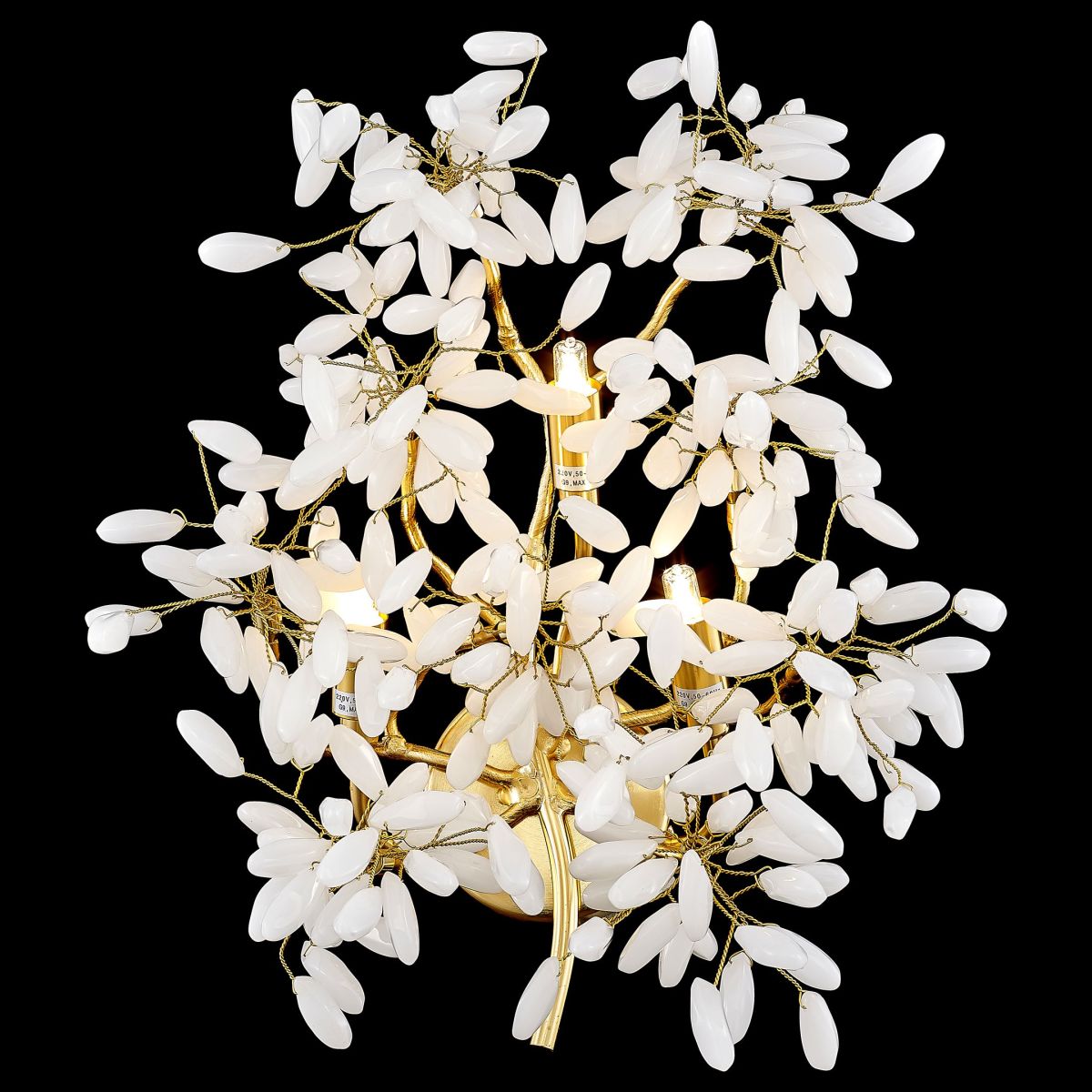 Настенный светильник Wertmark Dorothy WE193.03.401