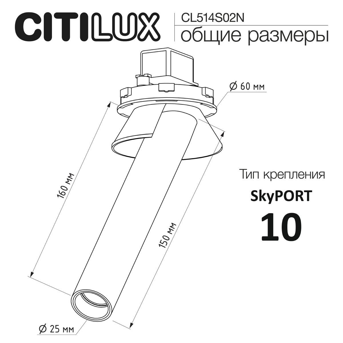 Встраиваемый спот Citilux Stek CL514S02N