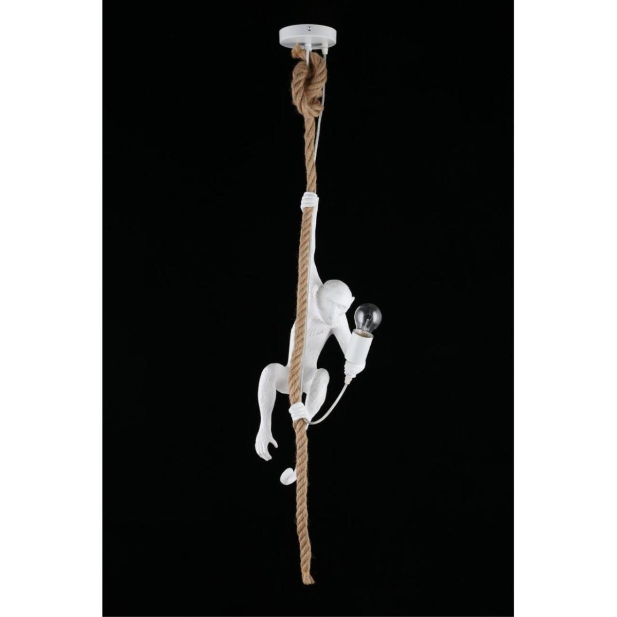 Подвесной светильник Aployt Magali APL.309.06.01