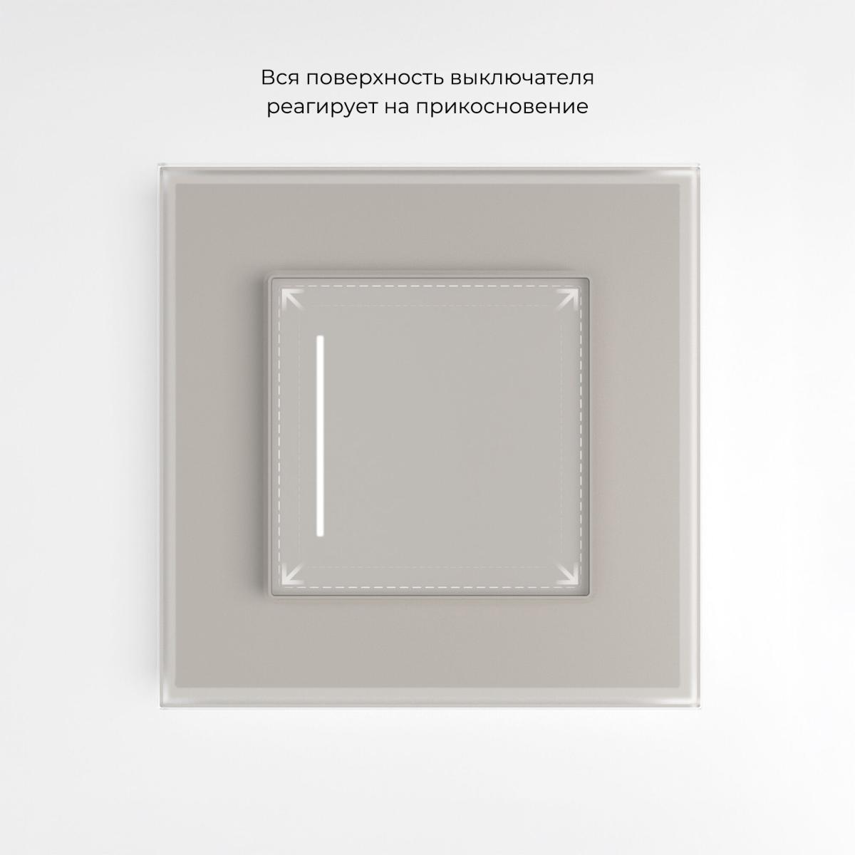 Выключатель сенсорный одноклавишный с подсветкой Werkel W4512014 4690389213854 a069762