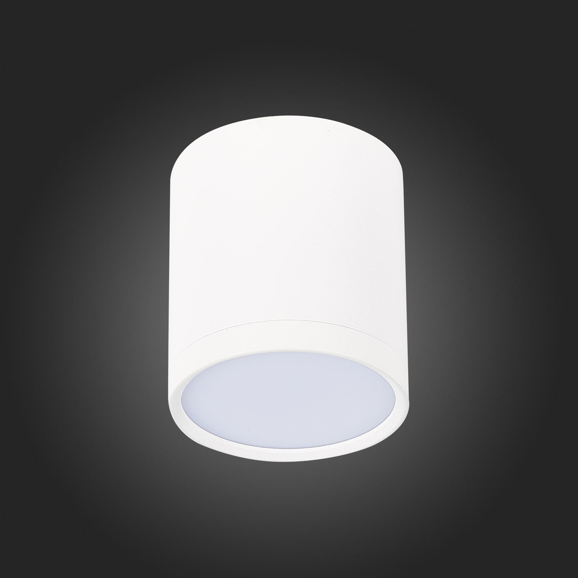 Потолочный светильник ST Luce Rene ST113.542.05 в #REGION_NAME_DECLINE_PP#