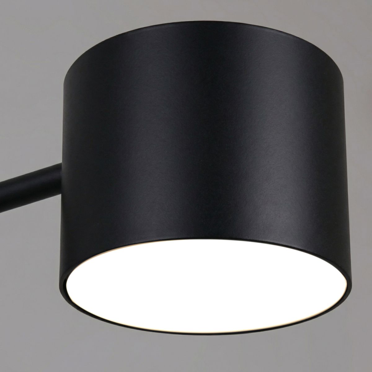 Люстра на штанге Reluce 47206-0.3-06BK