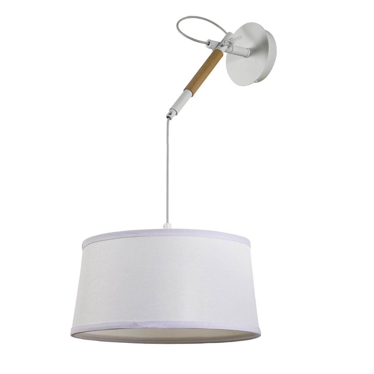 Настенно-потолочный светильник F-Promo Eureka 3005-1P в #REGION_NAME_DECLINE_PP#