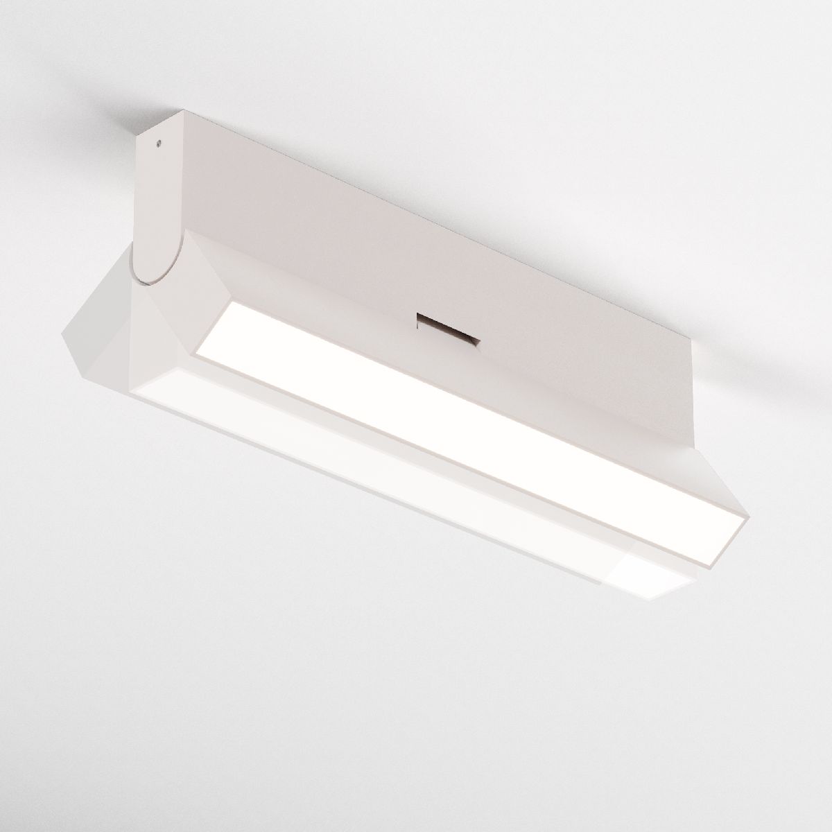 Настенно-потолочный светильник Maytoni Basis Rot C133CL-12W3K-W