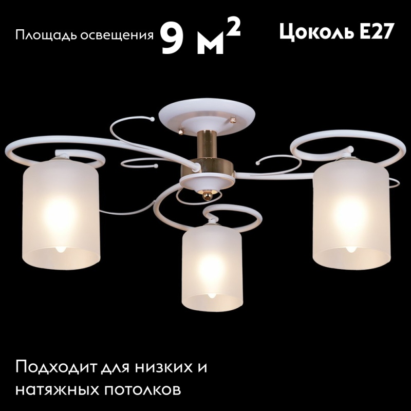 Потолочная люстра Reluce 00738-0.3-03