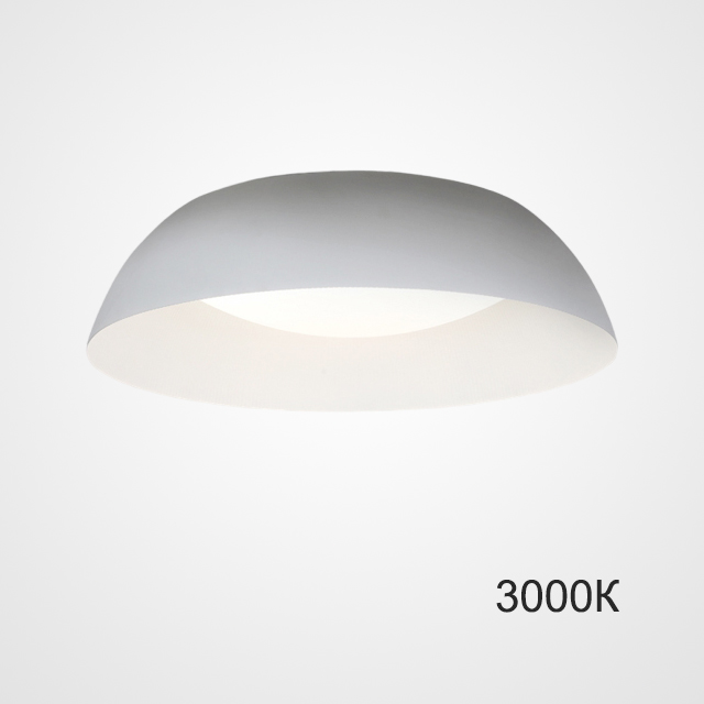 Потолочный led светильник ImperiumLoft Betsy 224027-23